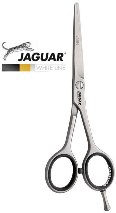 wahl scissors price